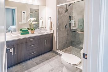 Walk-In Shower with Porcelain Tile